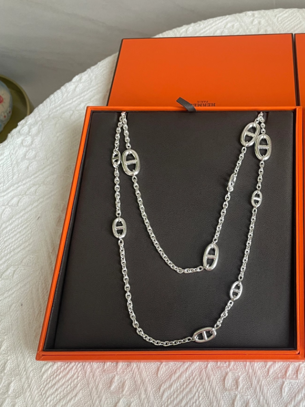 [⭐Novea]Classic Silver Sweater Chain